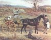 Scottish deerhound, fox terrier with horse and cart by David George Steell