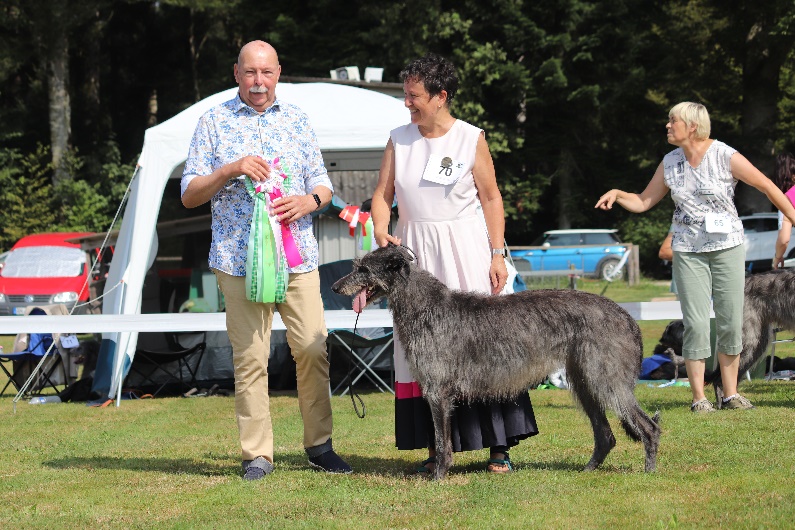 Club show 2024 du deerhound suisse